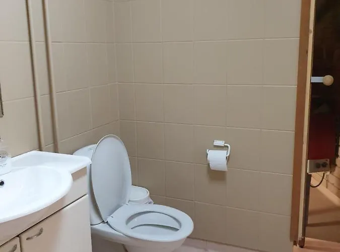 Jaeaeskaen Loma Ratatie 3 Asunto 5 公寓 考哈瓦